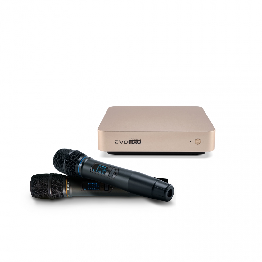 EVOBOX с микрофонами в Светлом Яре