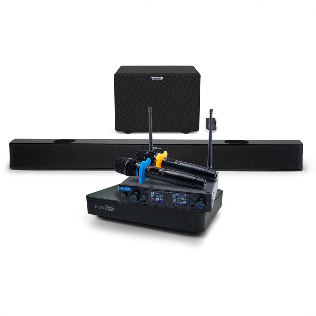 Hi-End караоке-система EVOBOX Premium + EvoSoundBar (саундбар с караоке) в Светлом Яре
