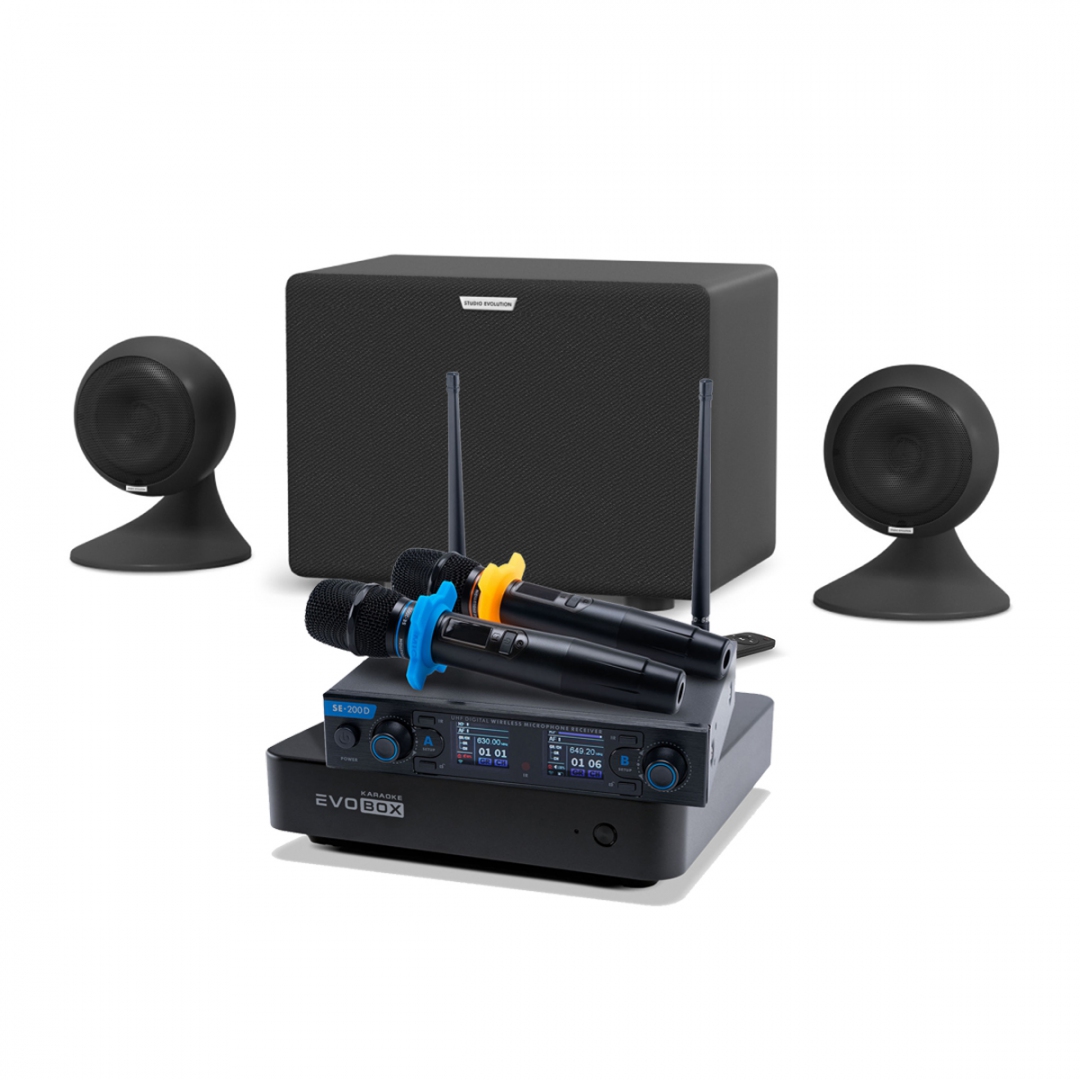 караоке-комплект EVOBOX + EvoSound Sphere 2.1 в Светлом Яре