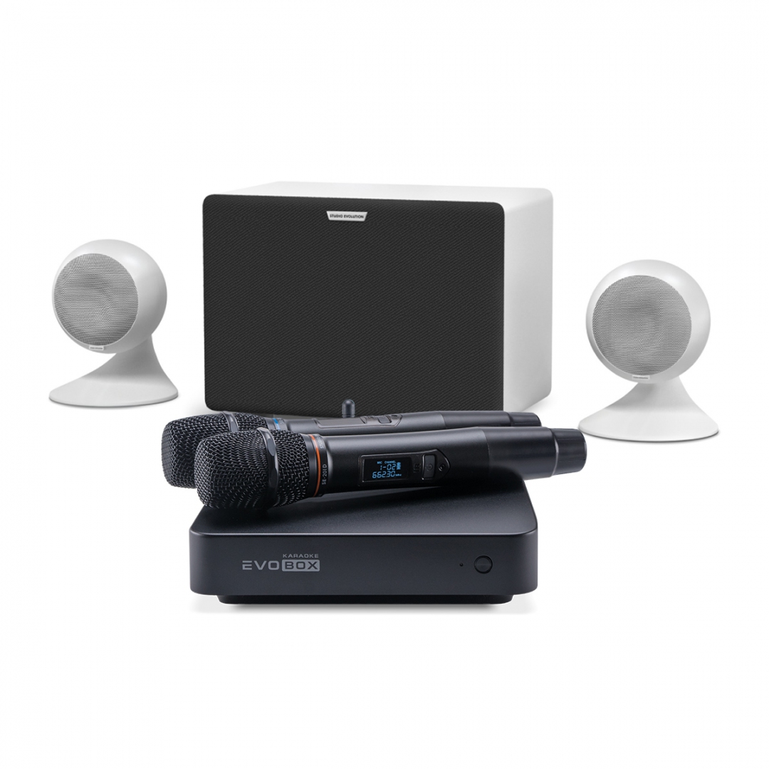 караоке-комплект EVOBOX Classic + EvoSound Sphere 2.1 в Светлом Яре