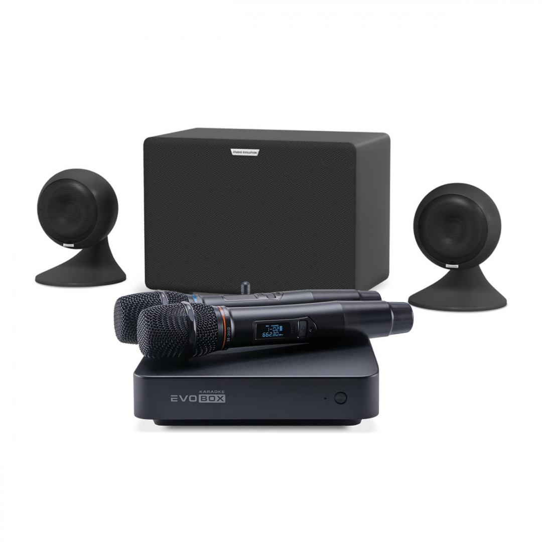 караоке-комплект EVOBOX Plus + EvoSound Sphere 2.1 в Светлом Яре