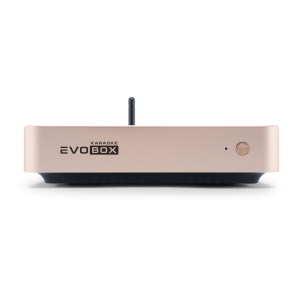 EVOBOX Classic караоке-система для дома в Светлом Яре