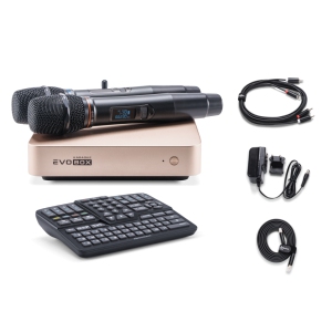 EVOBOX Classic караоке-система для дома в Светлом Яре