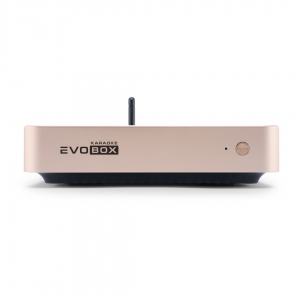 EVOBOX Plus караоке-система для дома в Светлом Яре