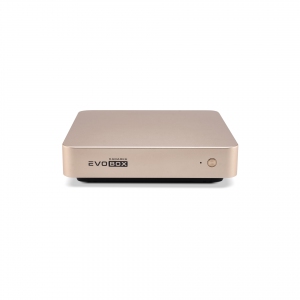 EVOBOX с микрофонами в Светлом Яре