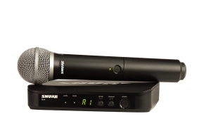 SHURE BLX24E/PG58 M17 вокальная радиосистема в Светлом Яре